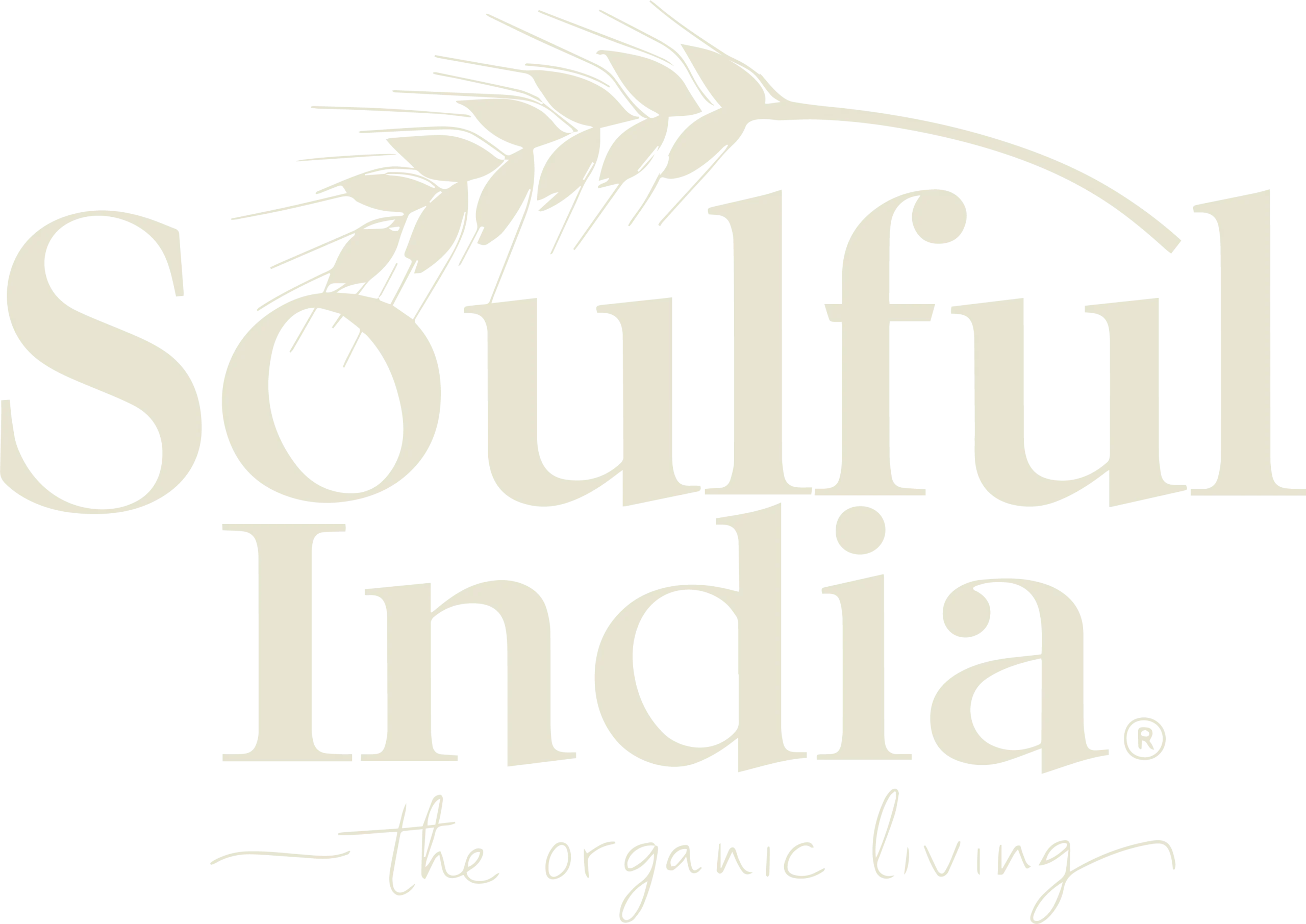 soulfulindia